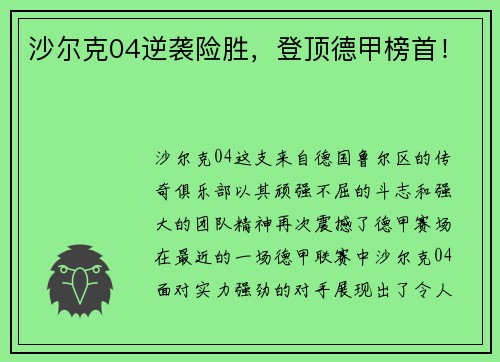 沙尔克04逆袭险胜，登顶德甲榜首！