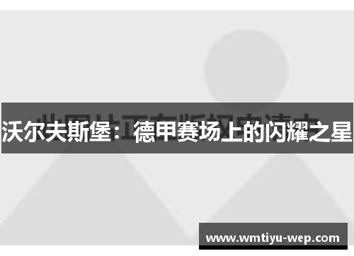 沃尔夫斯堡：德甲赛场上的闪耀之星