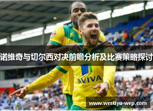 诺维奇与切尔西对决前瞻分析及比赛策略探讨