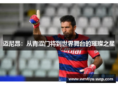 迈尼昂：从青涩门将到世界舞台的璀璨之星